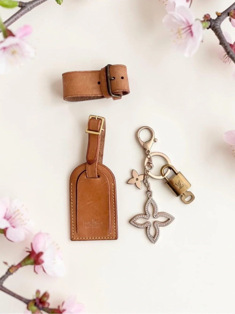 Louis Vuitton authentic lv